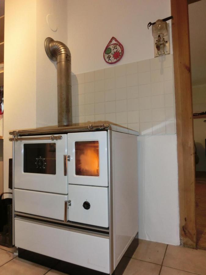 Ferien-Messe-Handwerkerwohnung-Haustiere Willkommen Lauf an der Pegnitz Εξωτερικό φωτογραφία