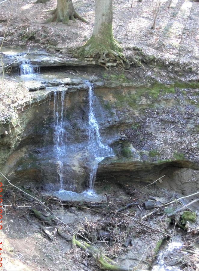 Ferien-Messe-Handwerkerwohnung-Haustiere Willkommen Lauf an der Pegnitz Εξωτερικό φωτογραφία